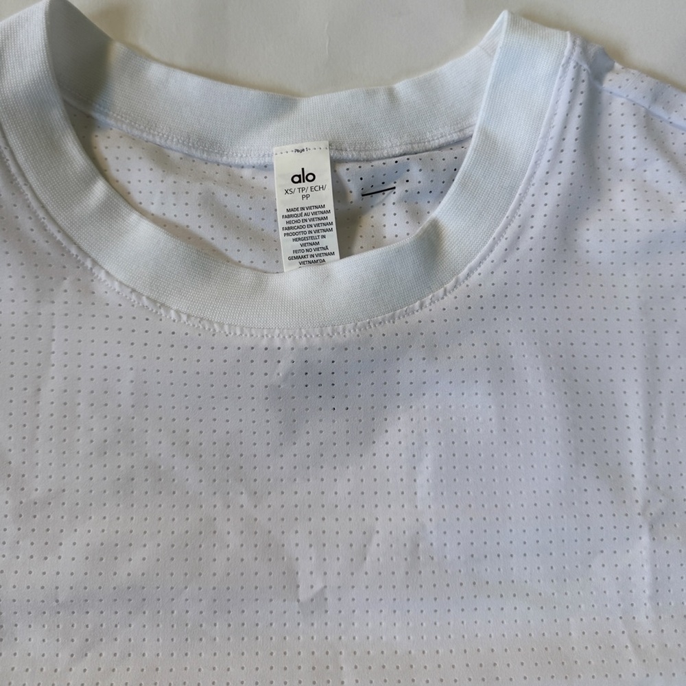 ALO Yoga Mesh Cropped Mirage Tee - Picture 3 of 11